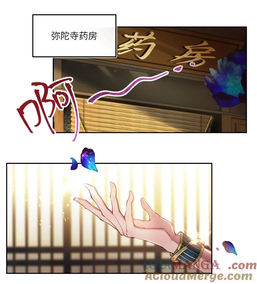 096 弥陀寺的兰花雀啊~美不胜收~4