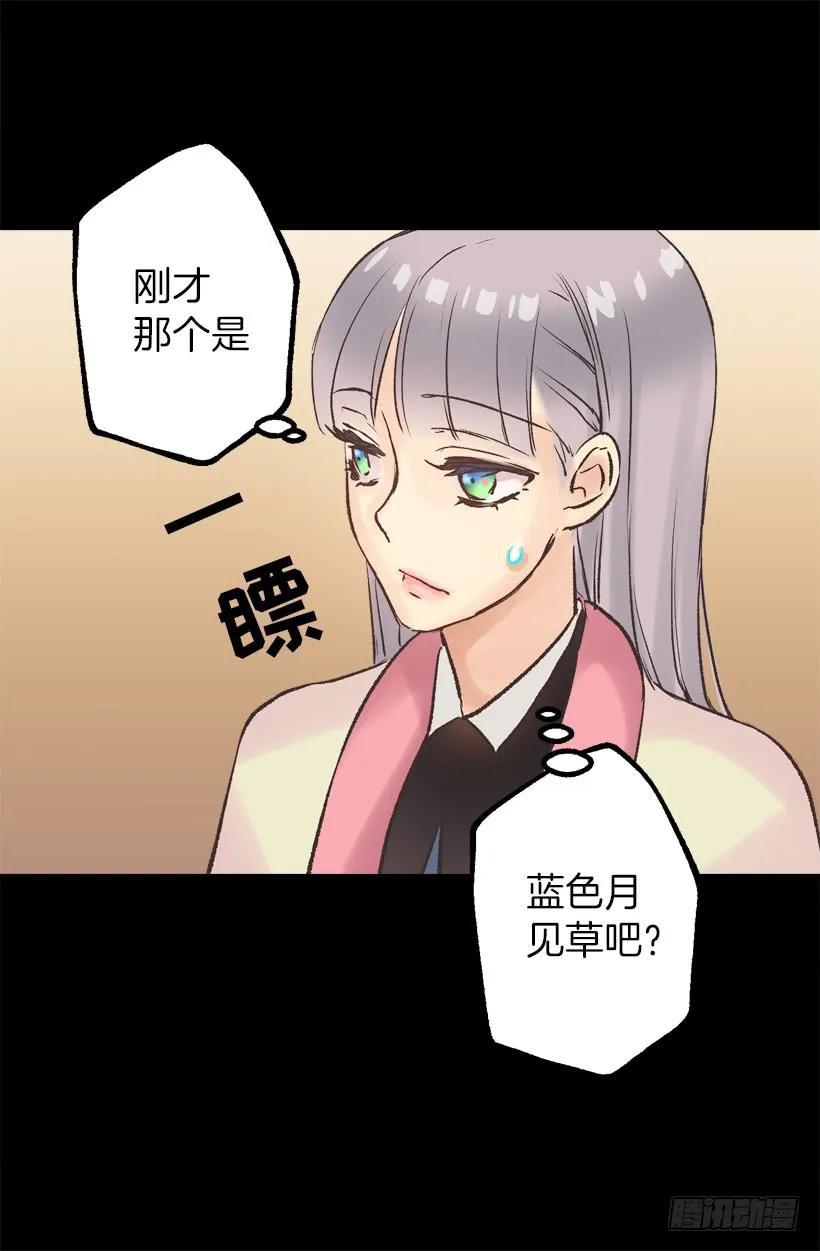 便当4