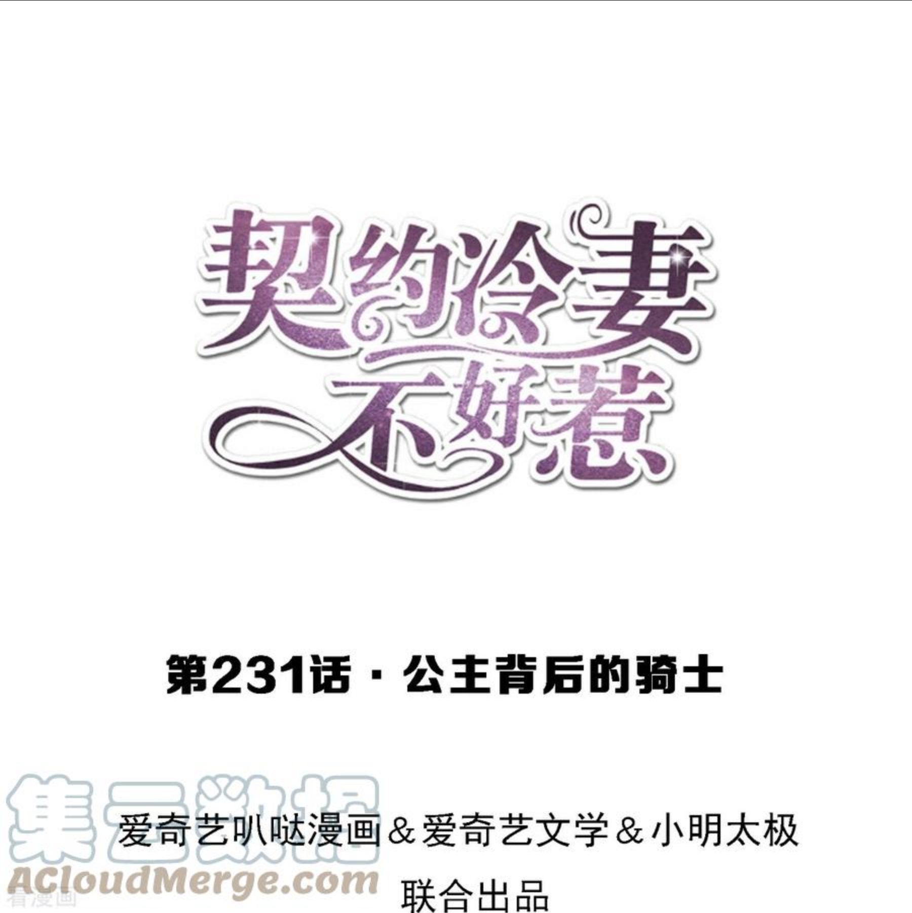 契约冷妻不好惹漫画下拉式漫画,第231话 公主背后的骑士1图