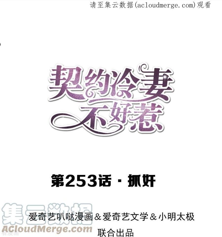 契约冷妻不好惹免费漫画,第253话 抓奸1图