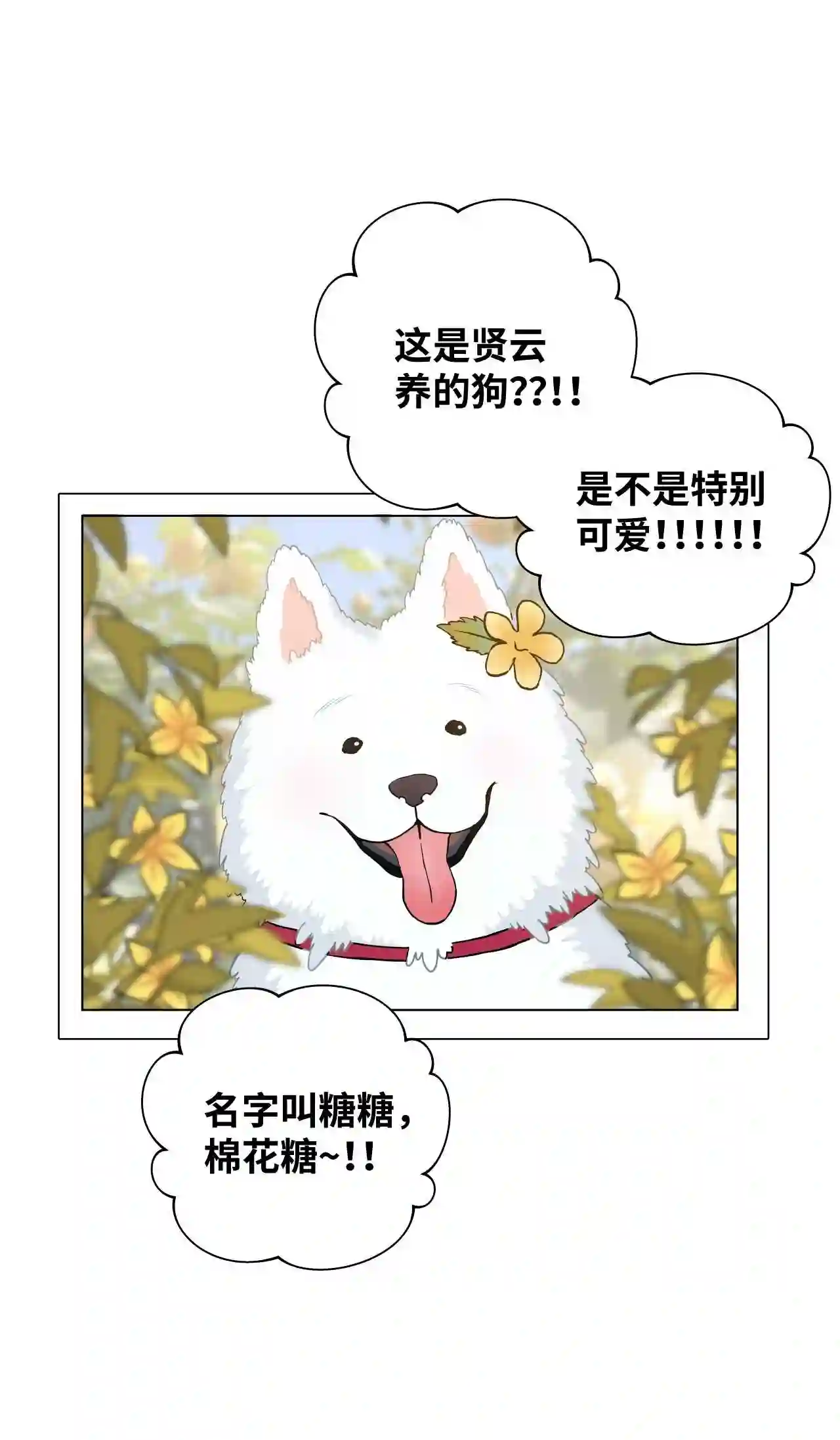 05 我知道你是故意的4