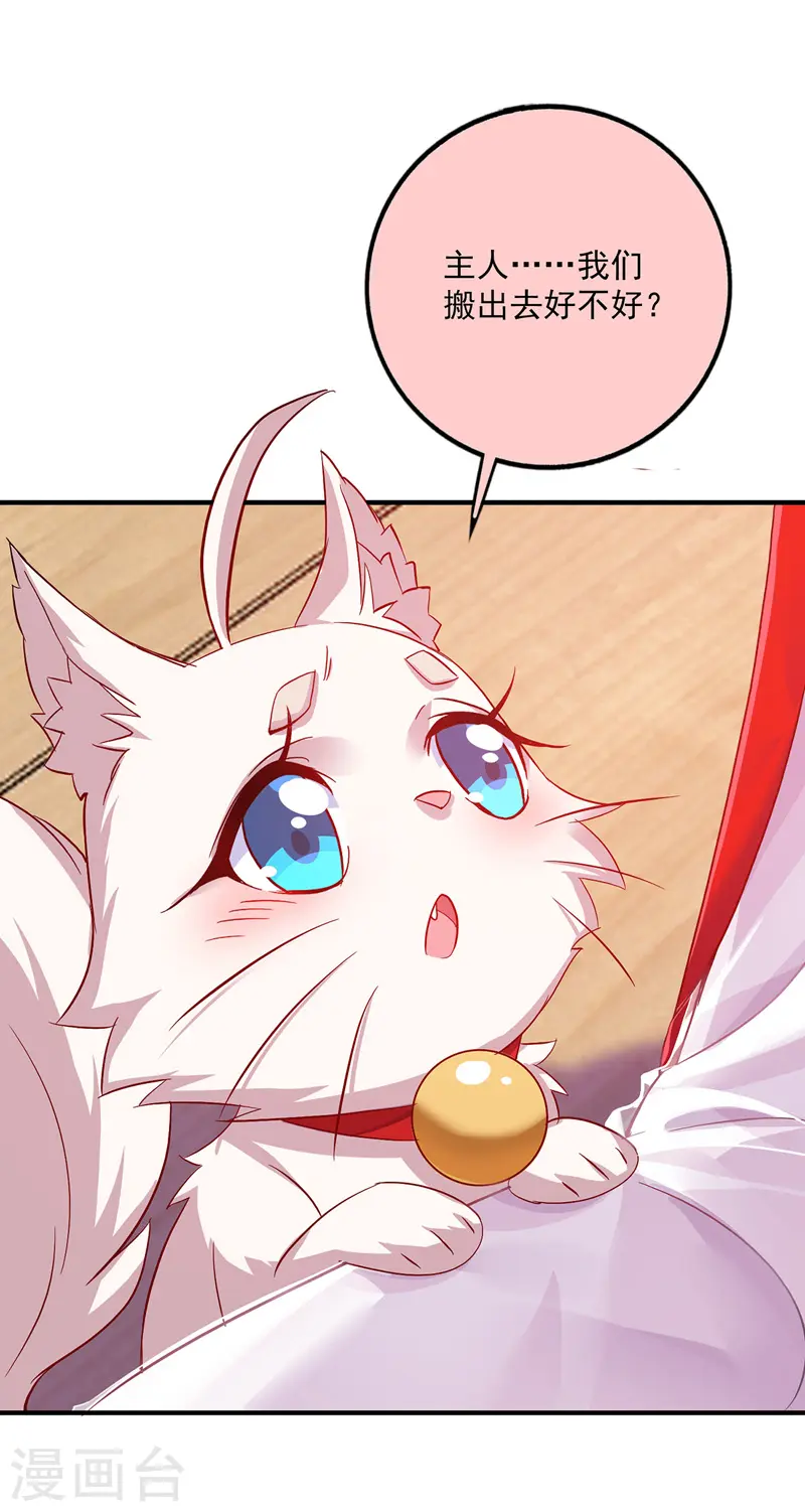 第50话 小猫化虎0
