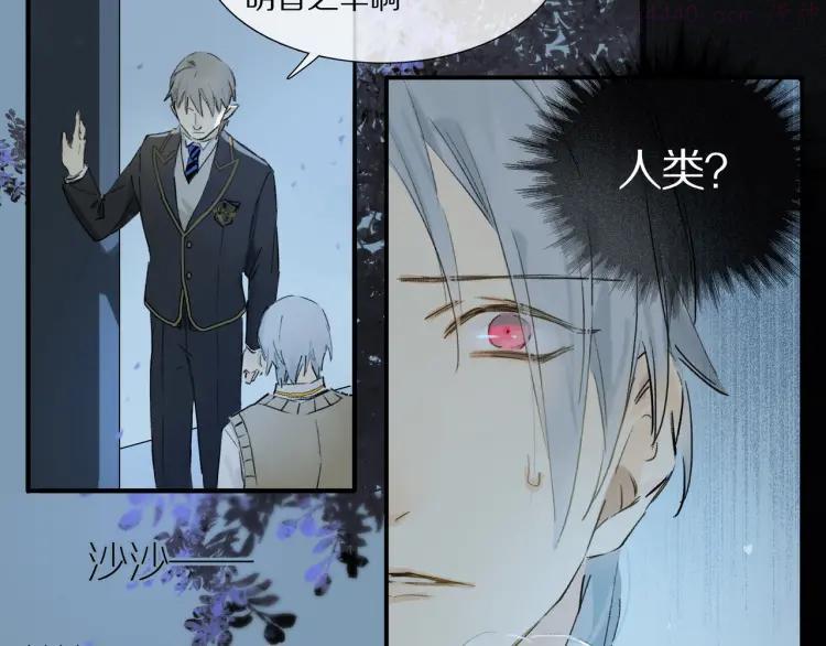 奥格斯的法则苏晏漫画,第2话 你是谁2图