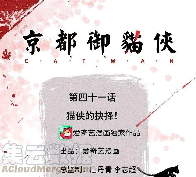第41话 猫侠的抉择！0