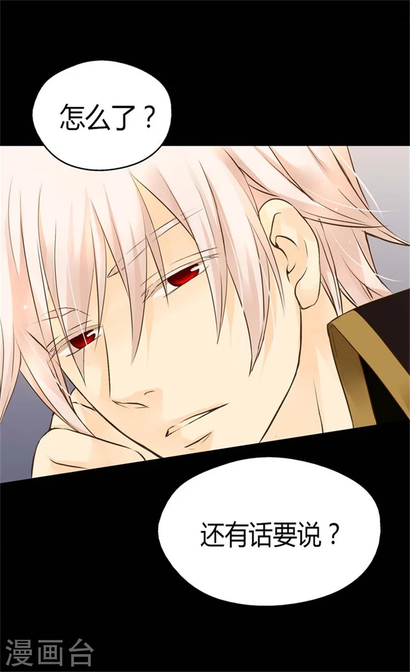 第96话 跟踪阿西西4