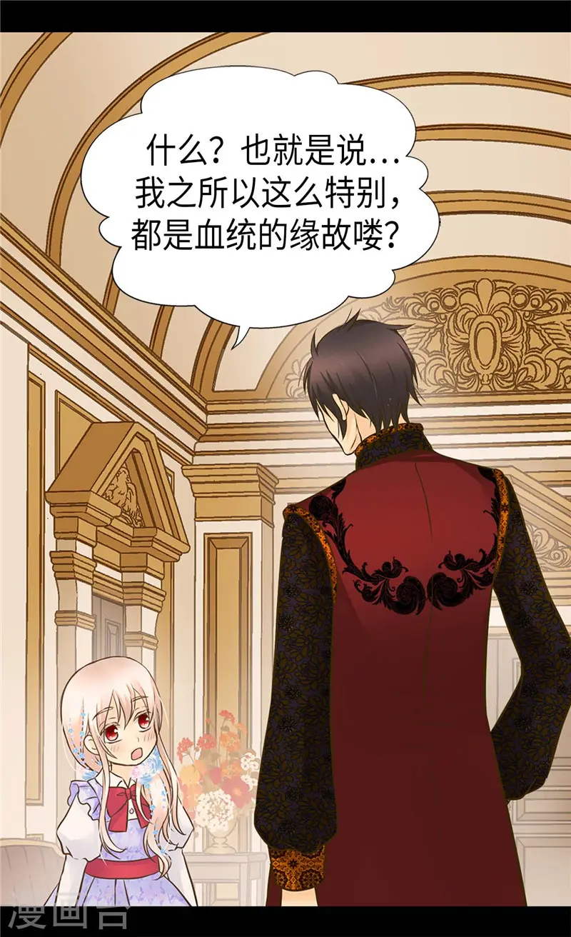 皇帝的独生女漫画免费阅读漫画,第242话 魔女与精灵的血统4图
