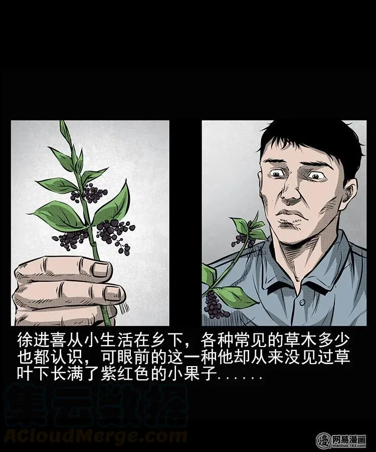 三老爷惊奇手札漫画,67 赤脚医生破蛊（下）5图