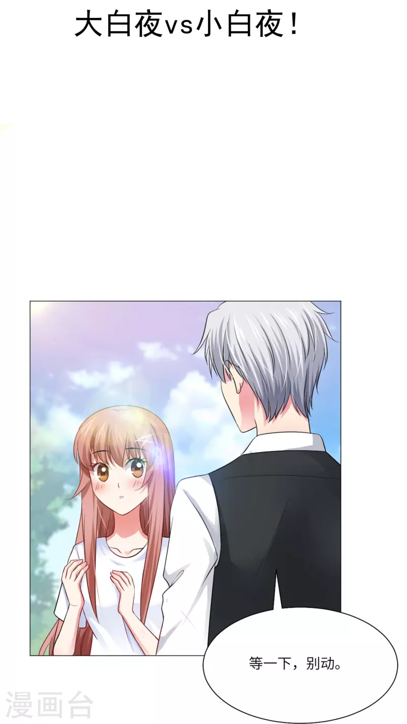 第35话 大白夜vs小白夜！1