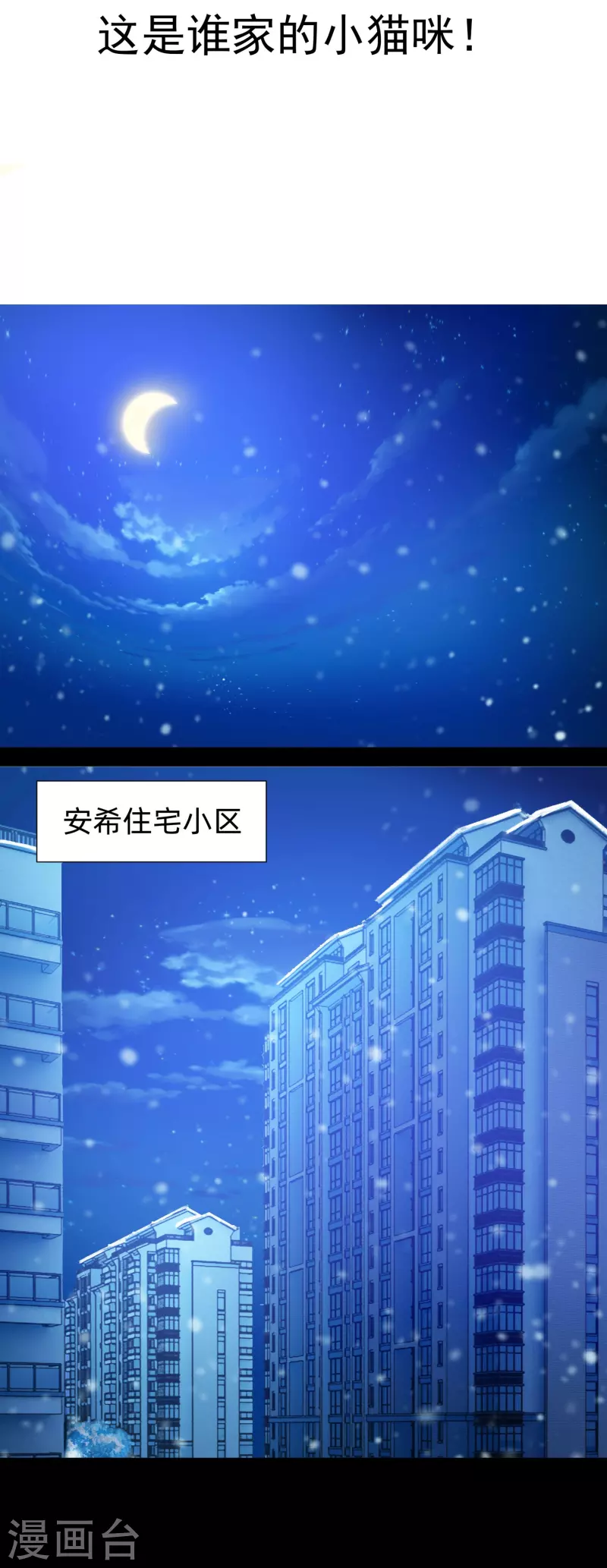 第77话 这是谁家的小猫咪！1
