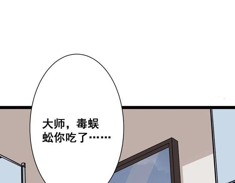 毒手巫医动态漫画漫画,第4话：来自金凤山！5图