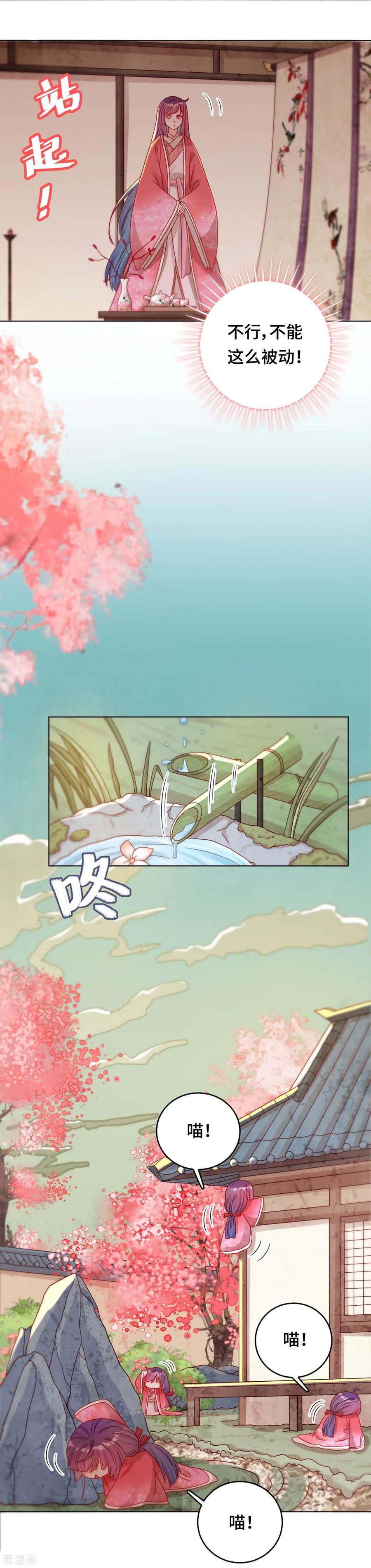 第39话 寻猫记3