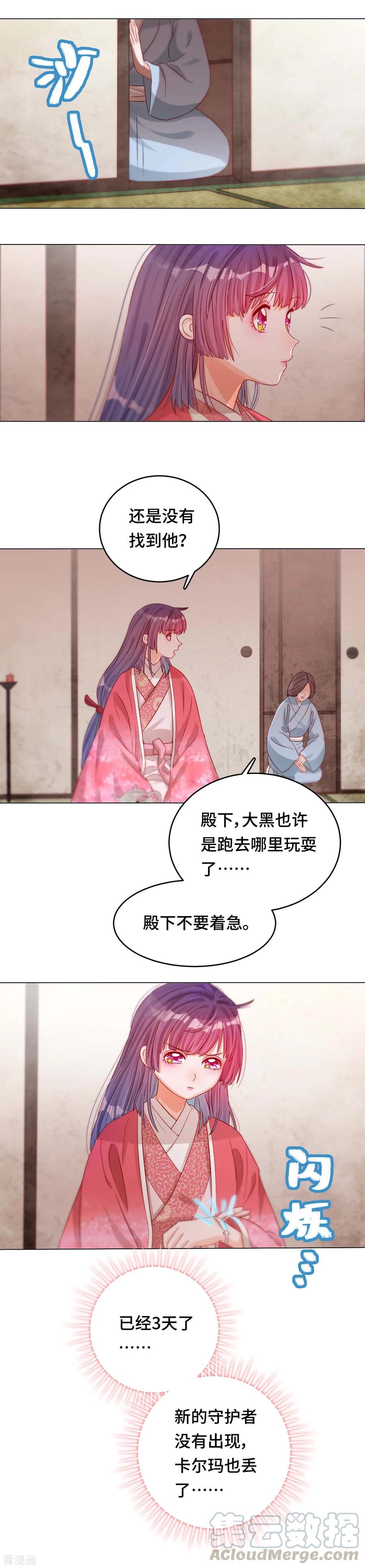 第39话 寻猫记2