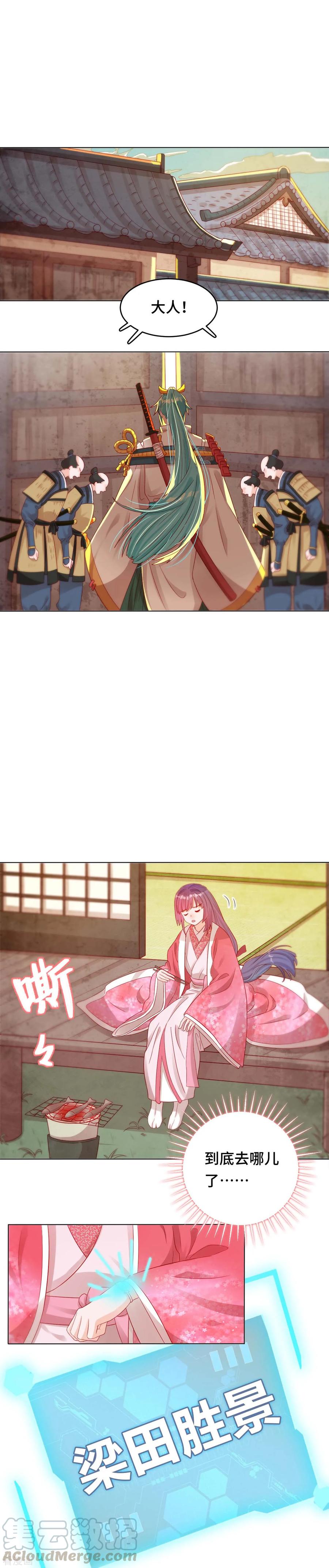 第39话 寻猫记4