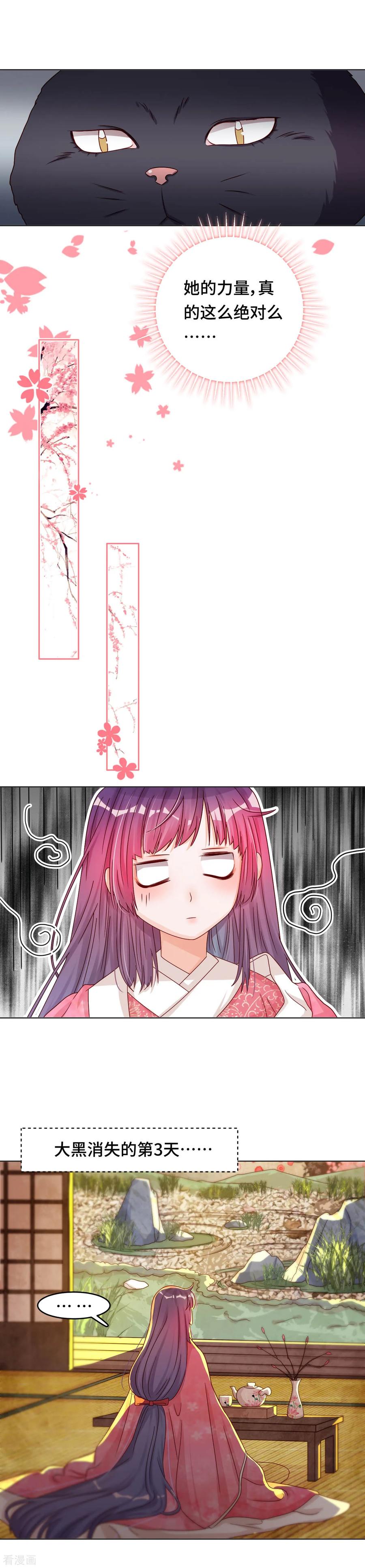 第39话 寻猫记1