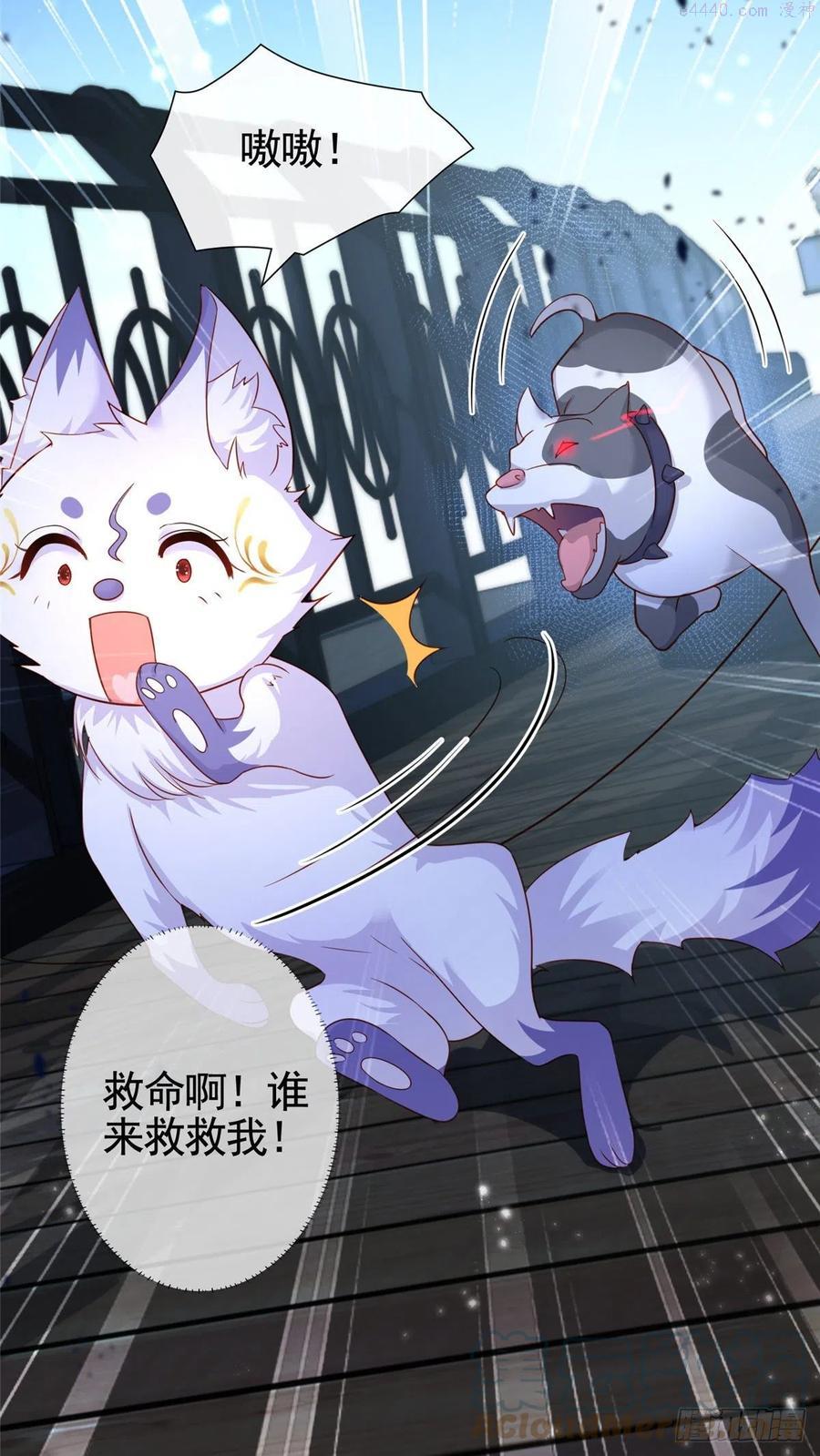 001 被小三打败的狐狸精2
