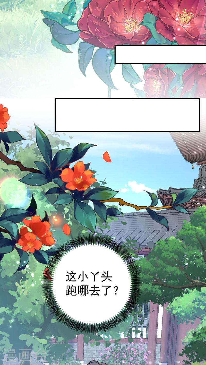 第186话 楚云锦1
