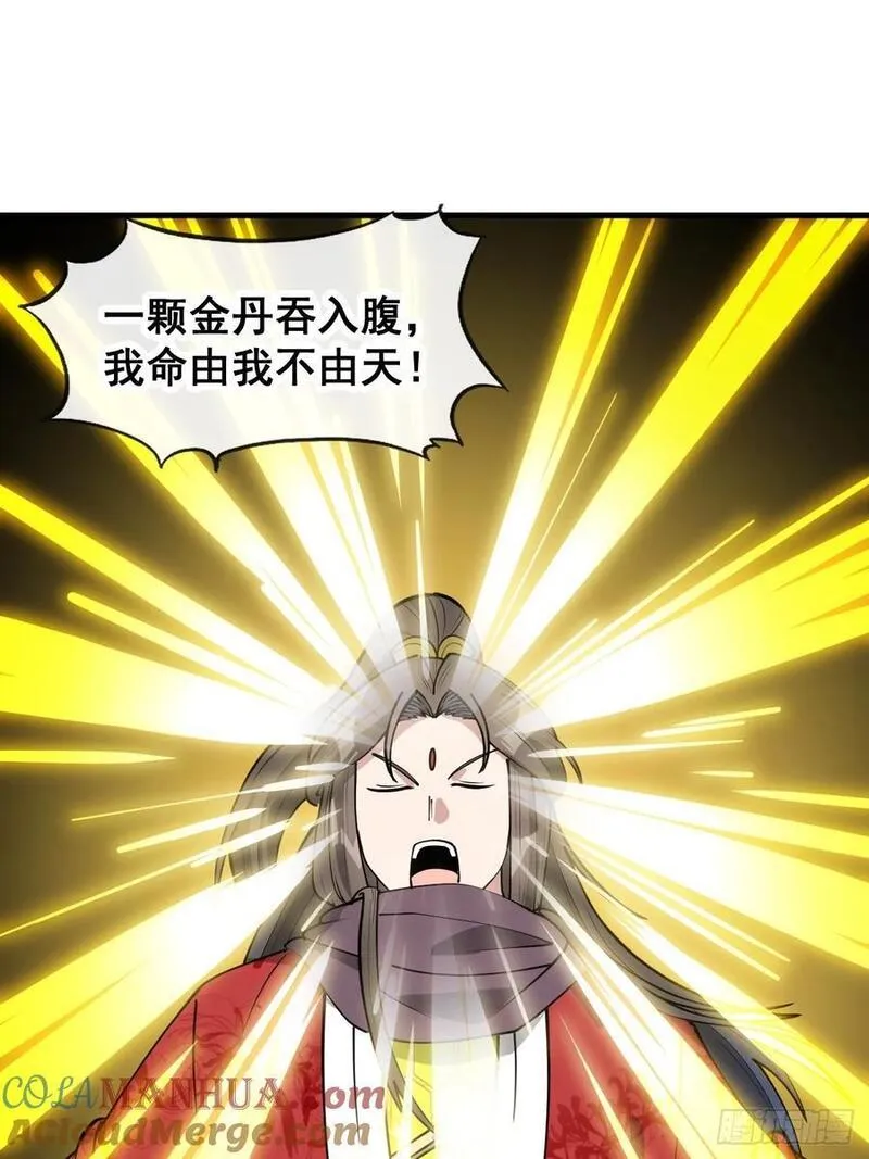 我真的不是气运之子~漫画,第二百三十二话：好大的金丹5图