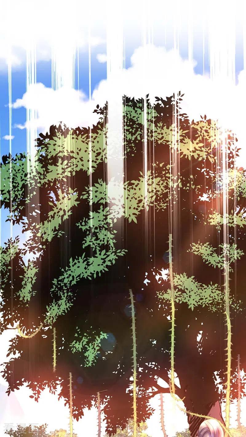 第69话 进入天纵山0