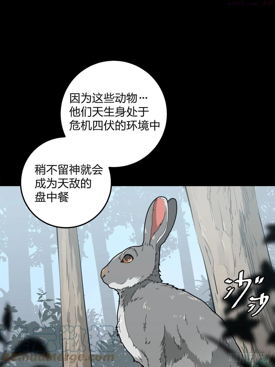 11话不愿回忆4