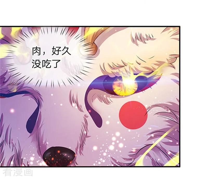 第78话 撸猫能手2