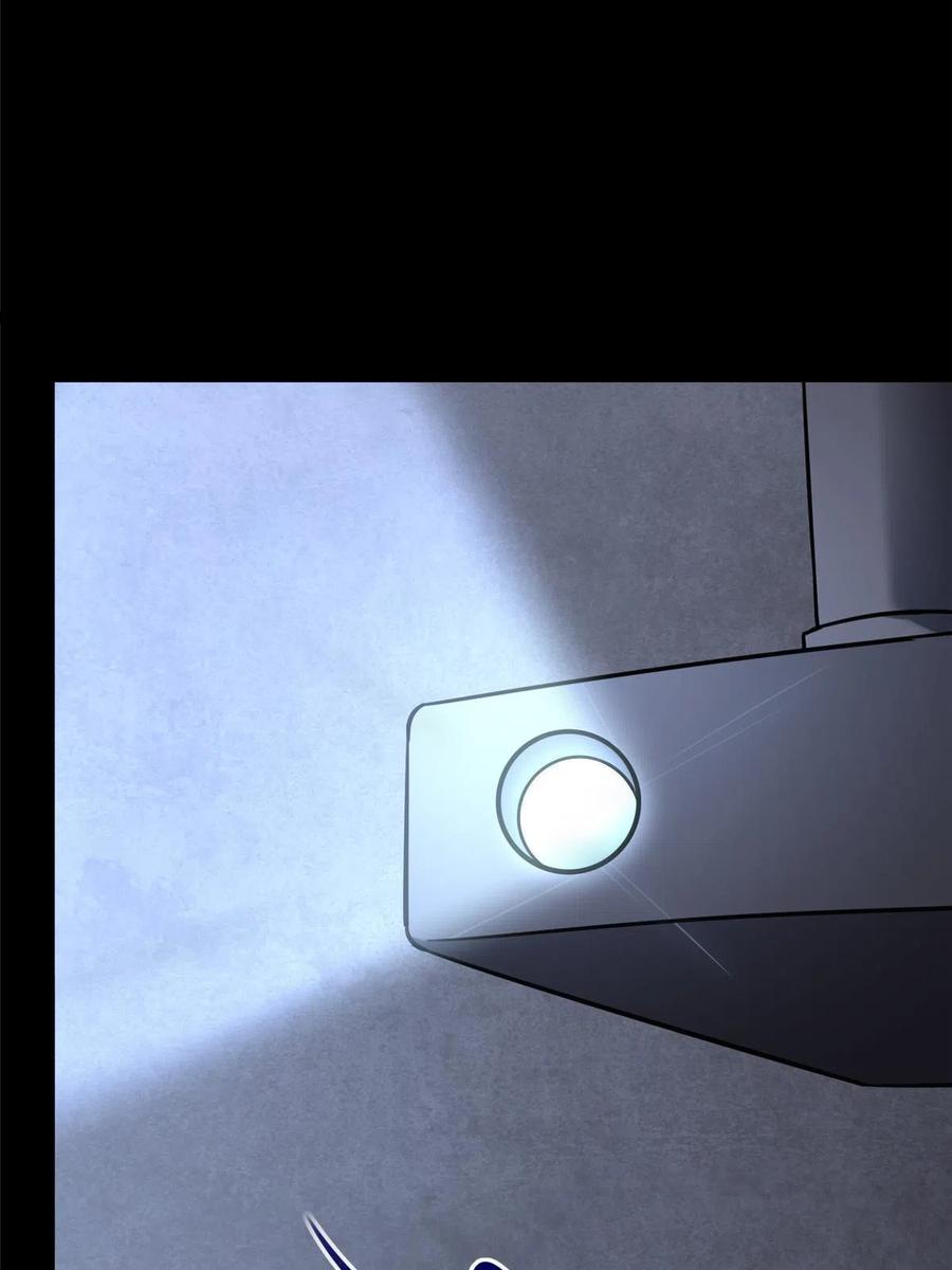 3243
