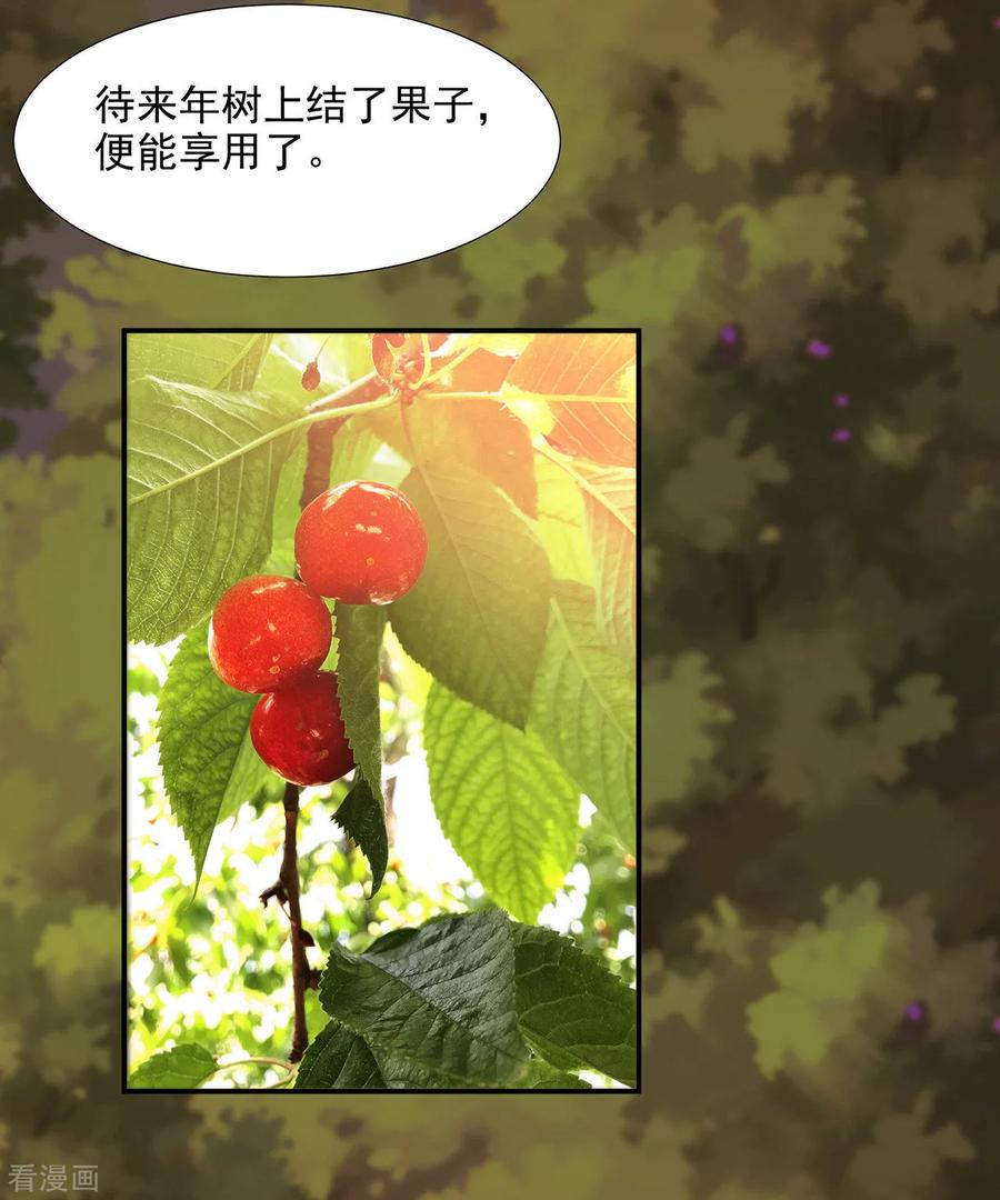 第74话 宠妻狂魔3