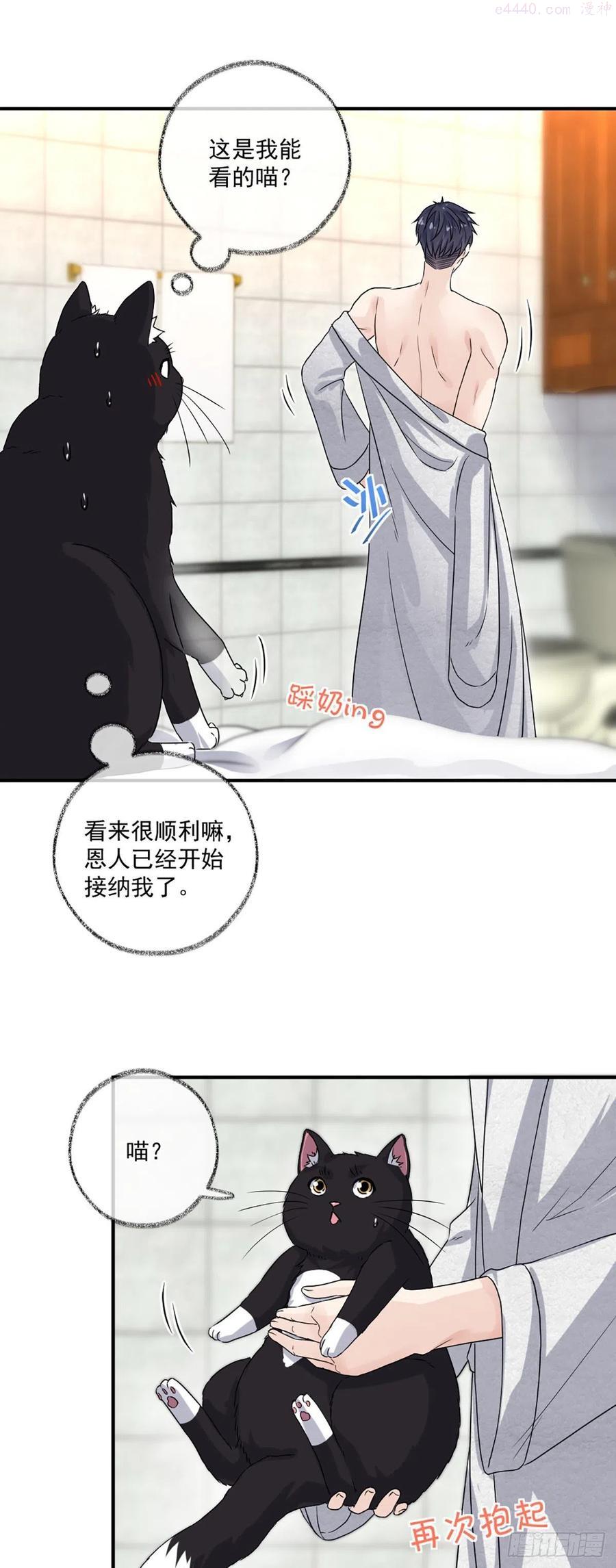 恩人嘴硬心软喵~3