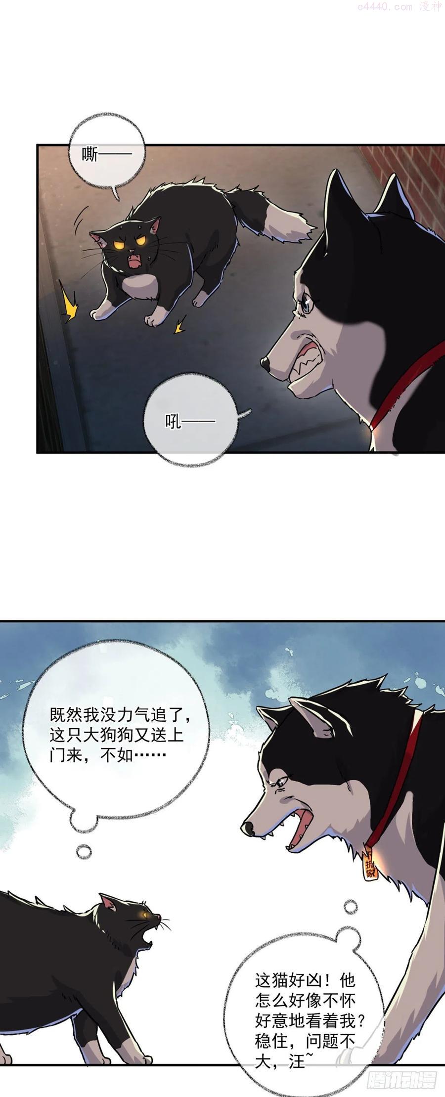 嘀嘀狗车喵~3