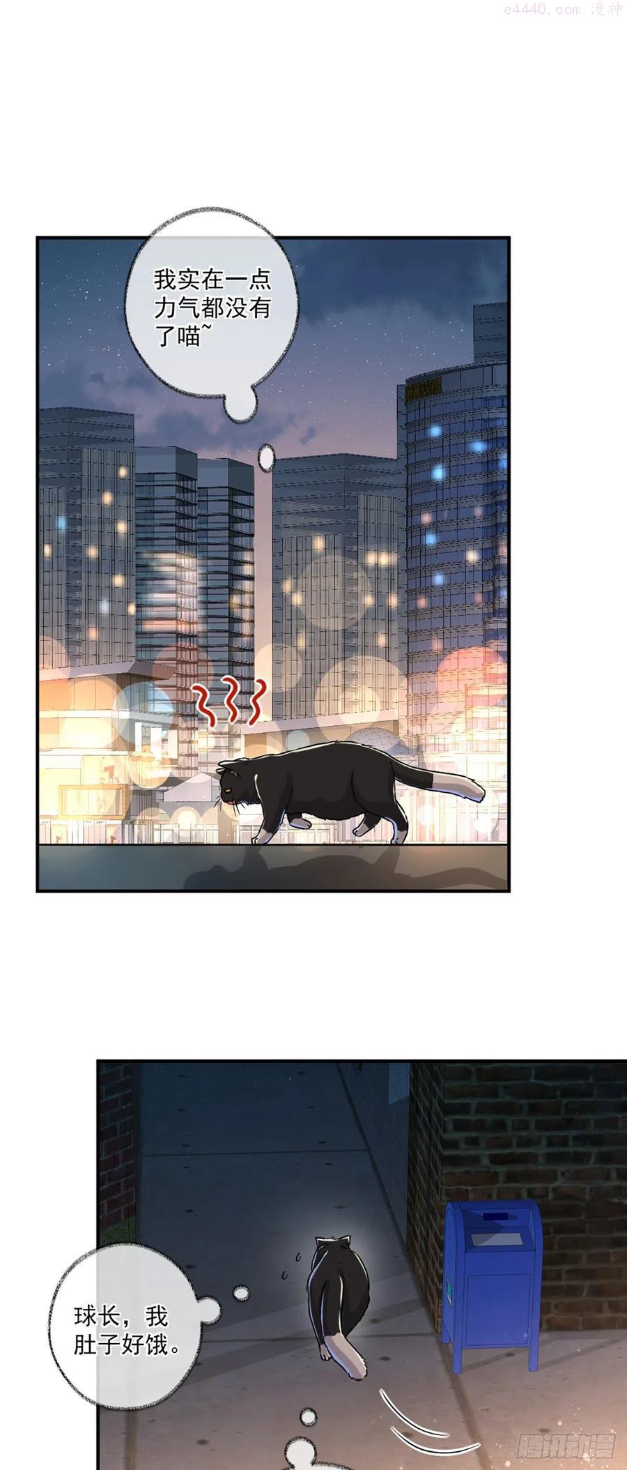 嘀嘀狗车喵~1