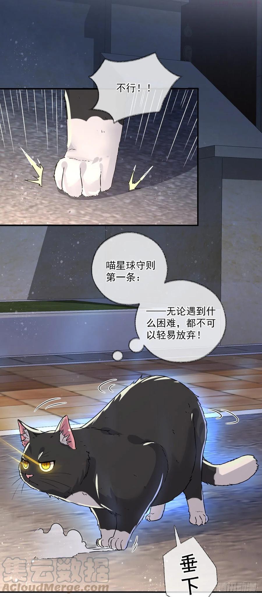 速度与激情喵~2