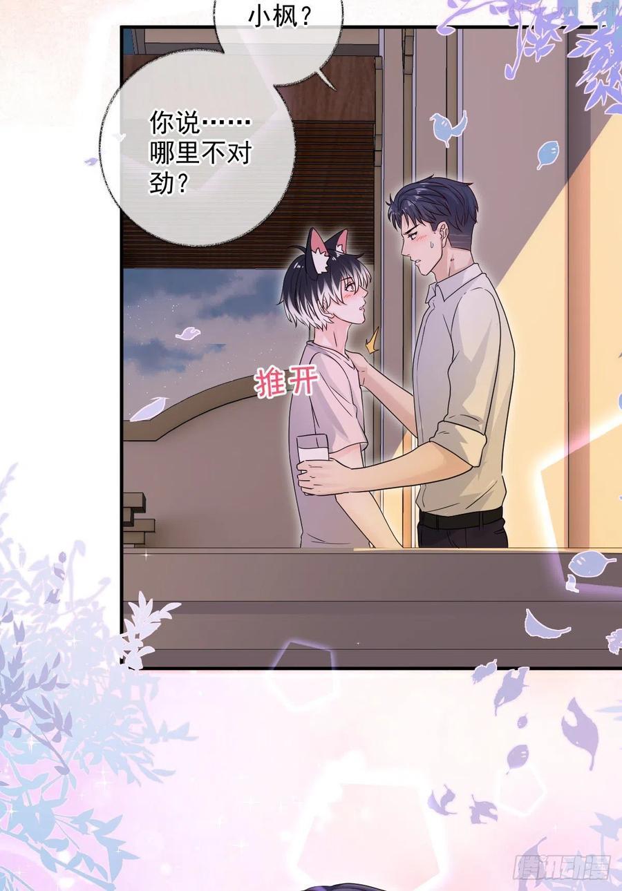 一晚上的事喵~3