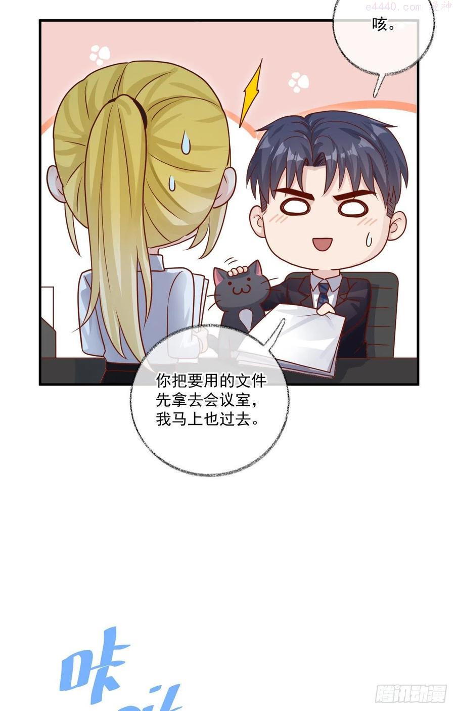 群猫踢馆喵~3