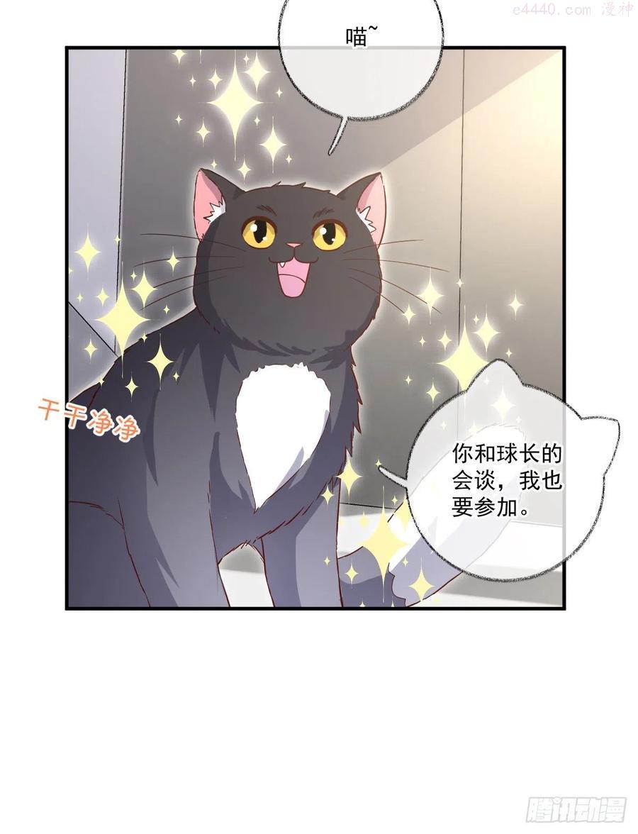 群猫踢馆喵~1