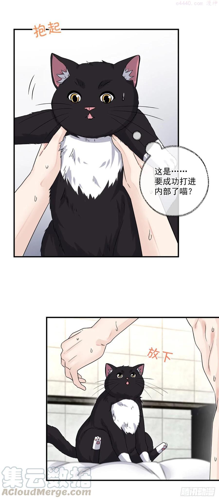 恩人嘴硬心软喵~2