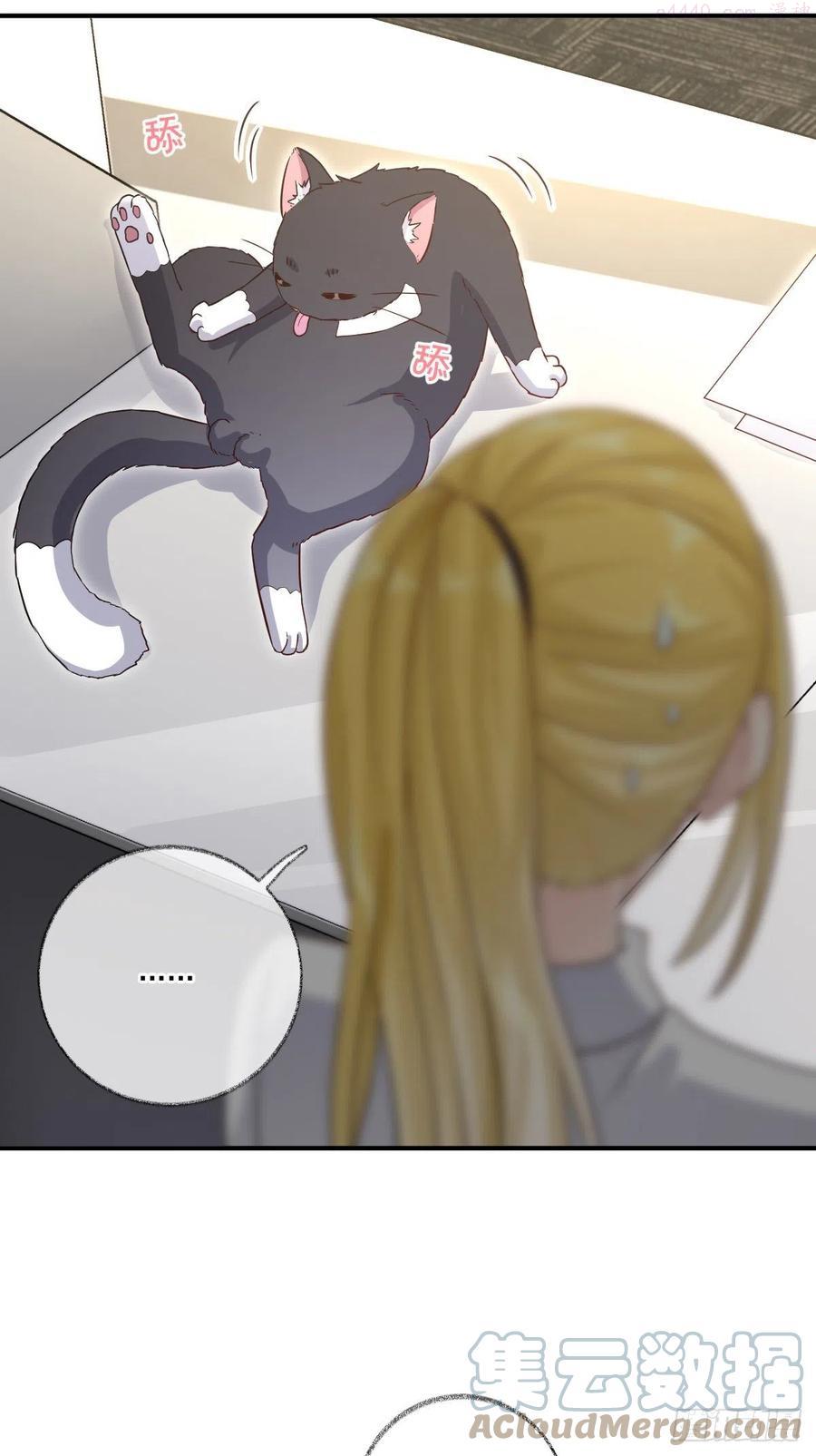 群猫踢馆喵~0