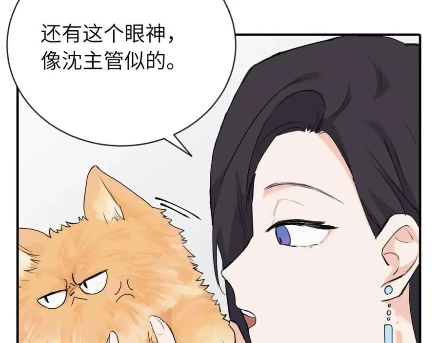 第四话 反正也没说4