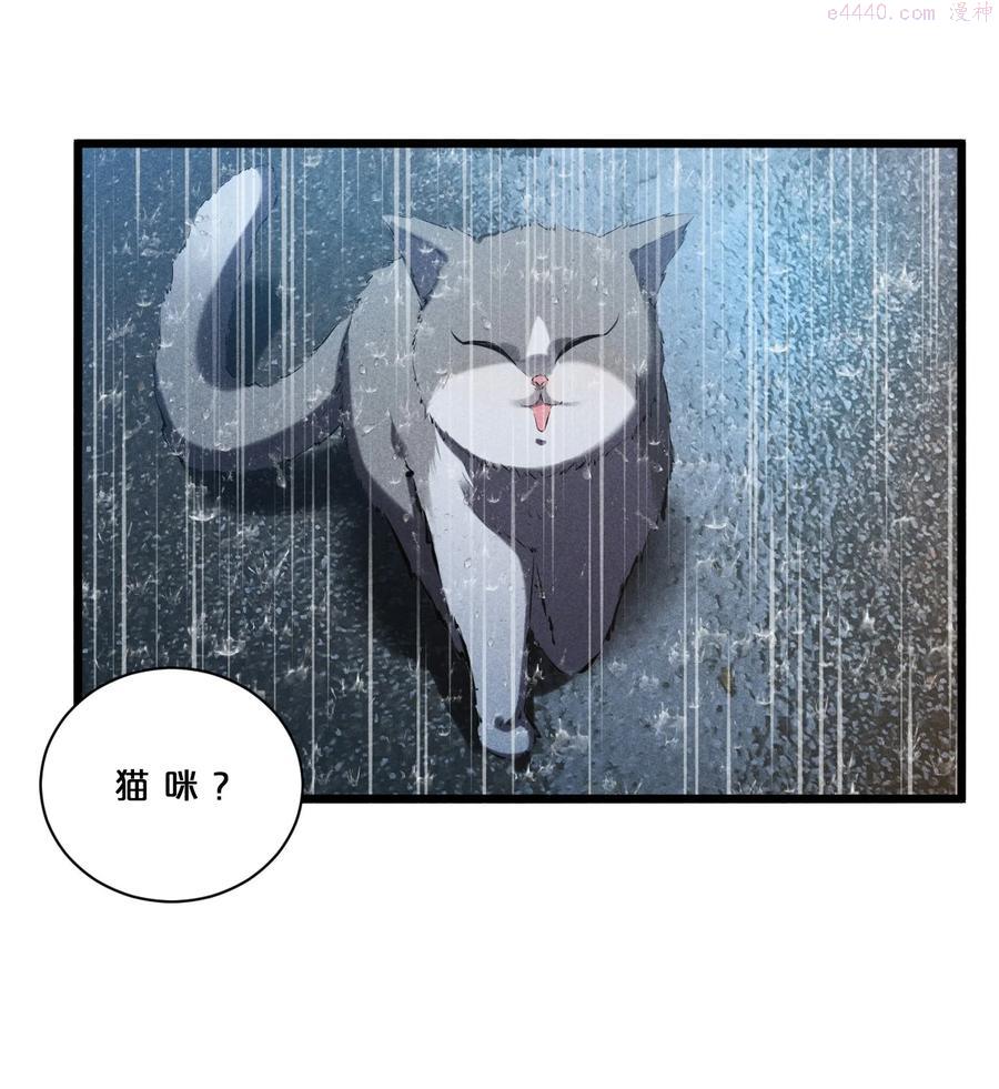 别再召唤我啦！漫画,019 猫与女孩3图