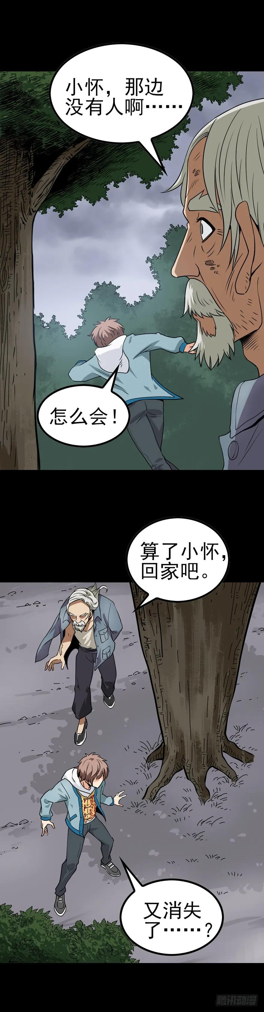 神秘访客2