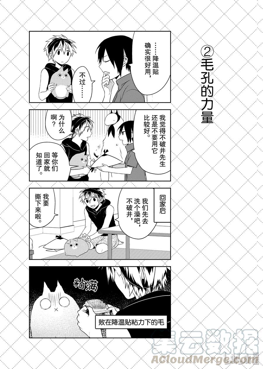 31.5 每天每天2