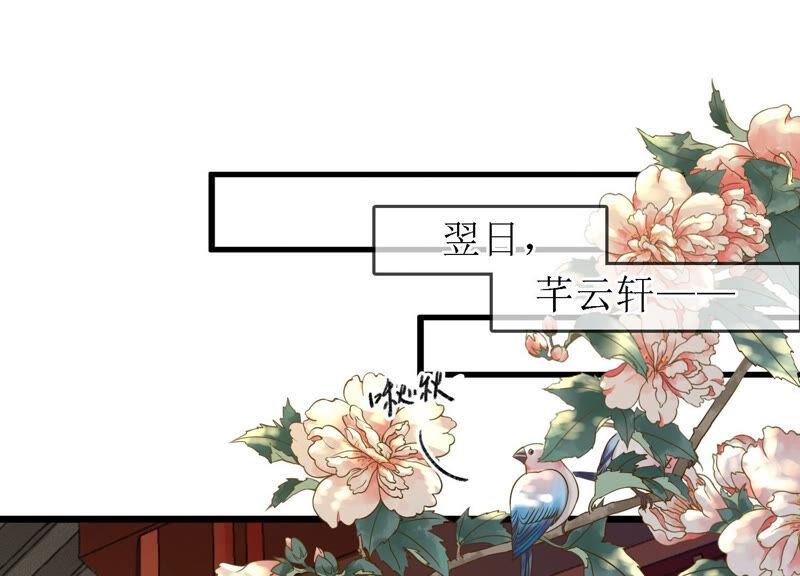 太子参健脾四神汤漫画,第9话 孤影大人5图