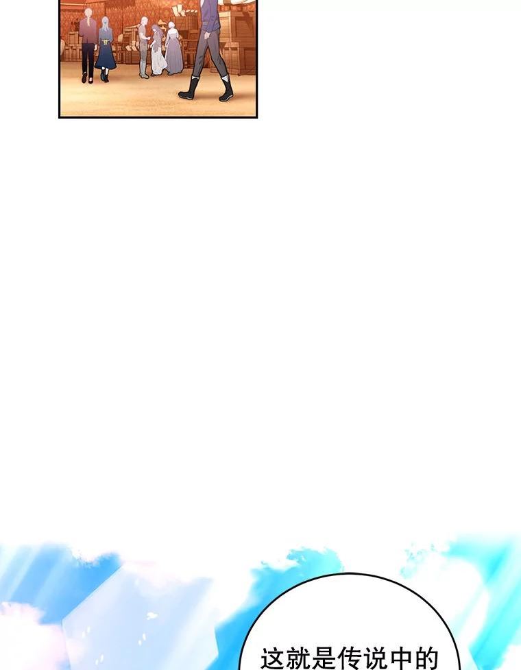 46.鸢尾花染料1