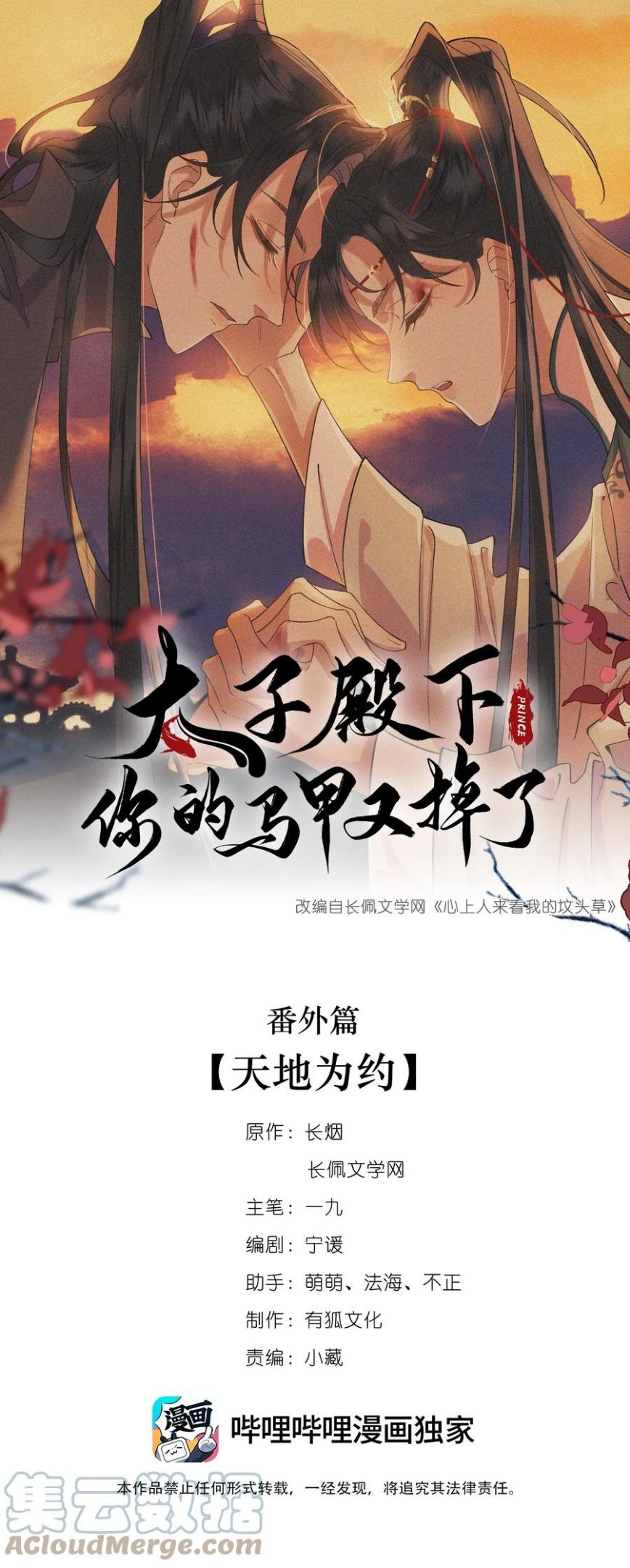 太子殿下你的马甲又掉了漫画,番外篇 天地为约1图