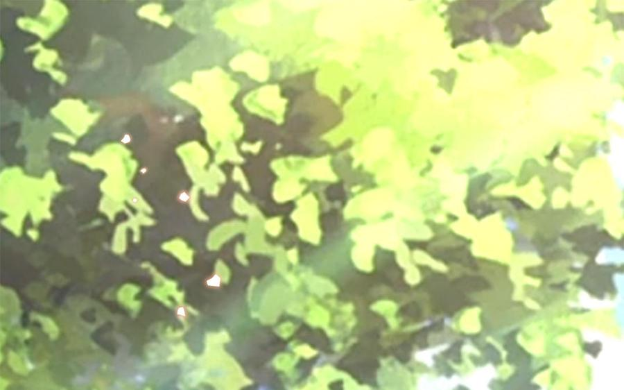 第57话 帝王之忧3