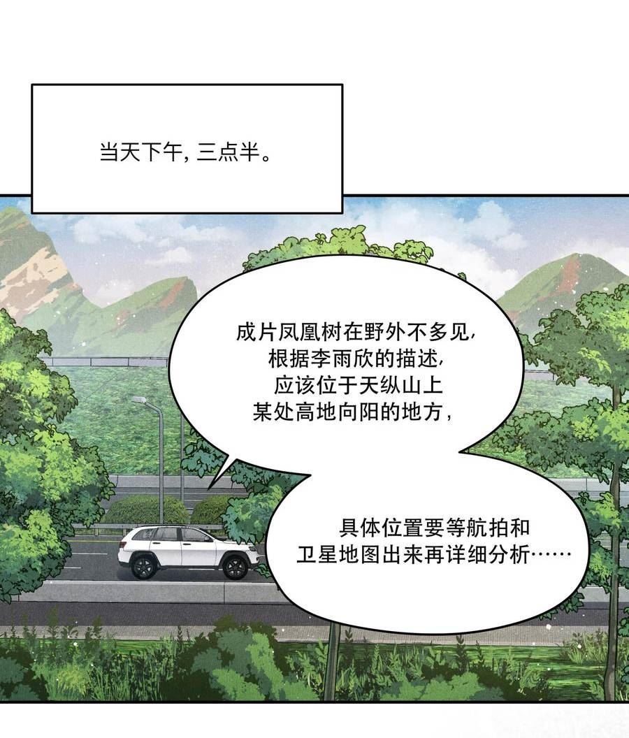 89 天纵山 凤凰林1