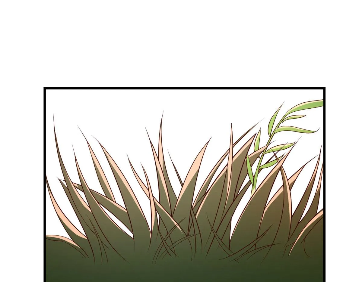99 练拳附带桃花2