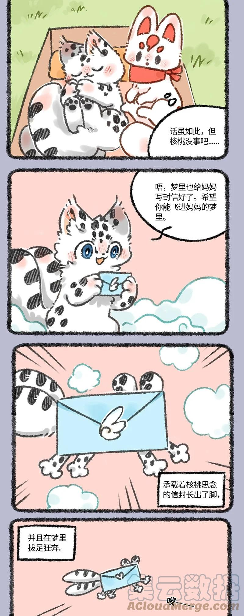 606 给妈妈的信2
