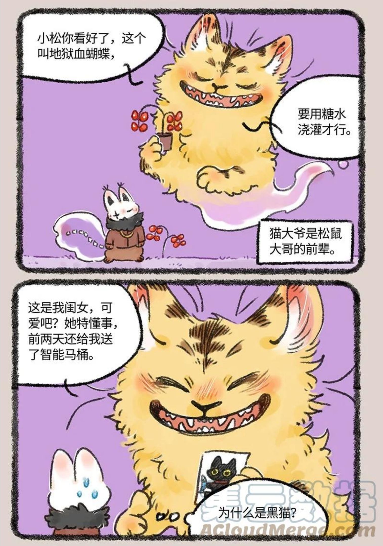 593 浇花的猫大爷2