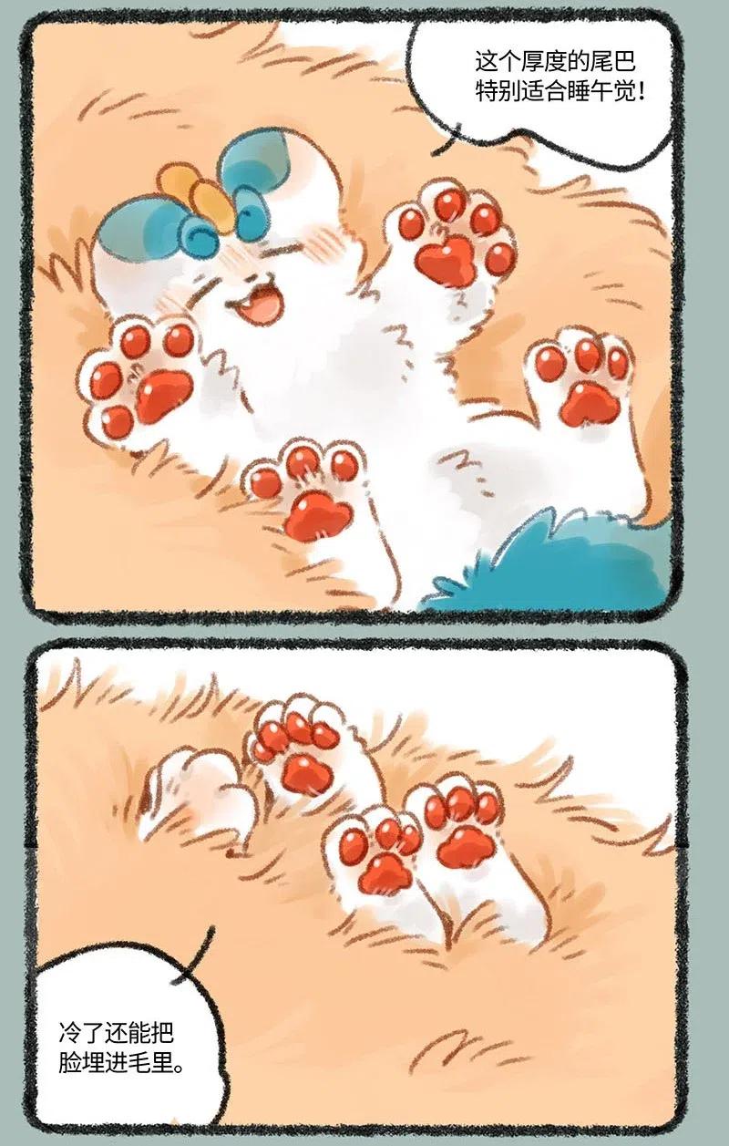 253 尾巴的功能4