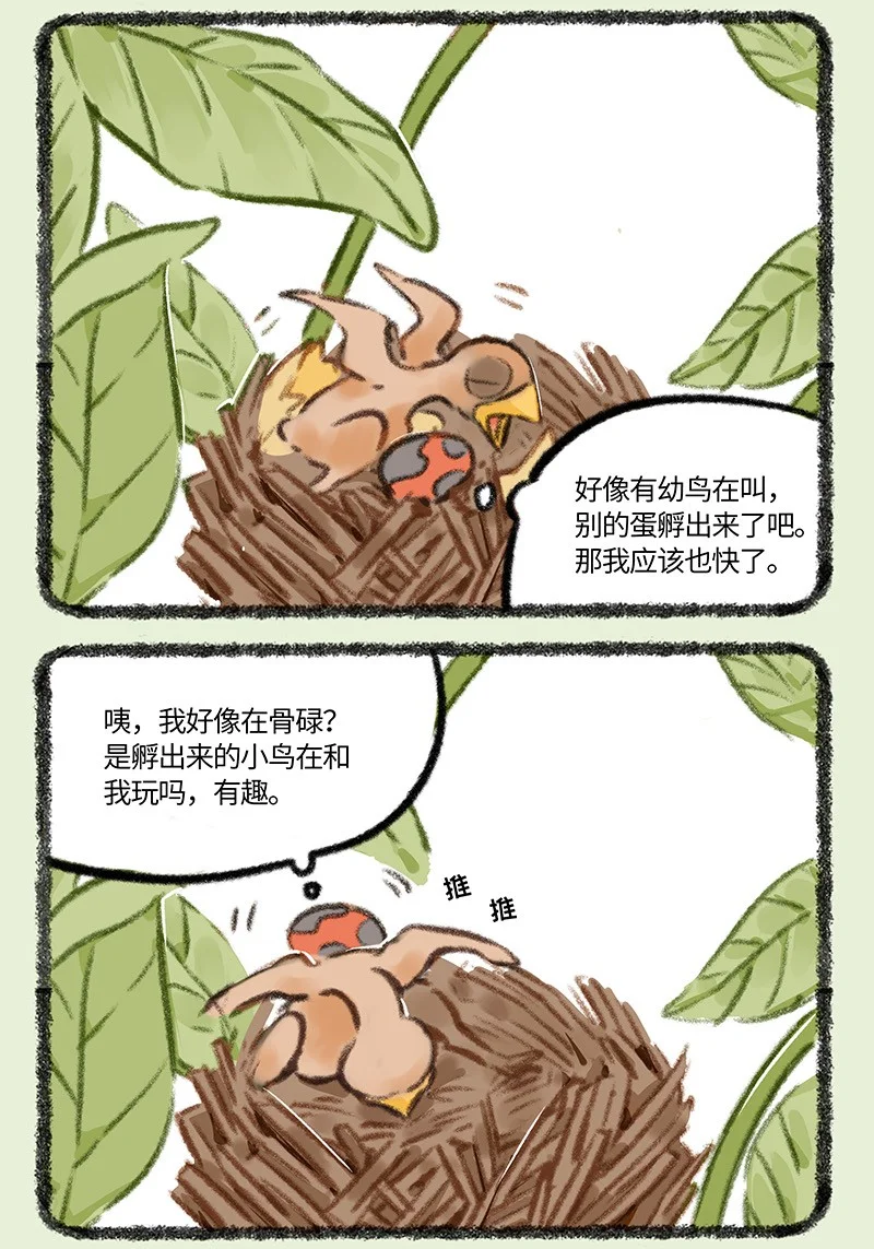 876 物竞天择1