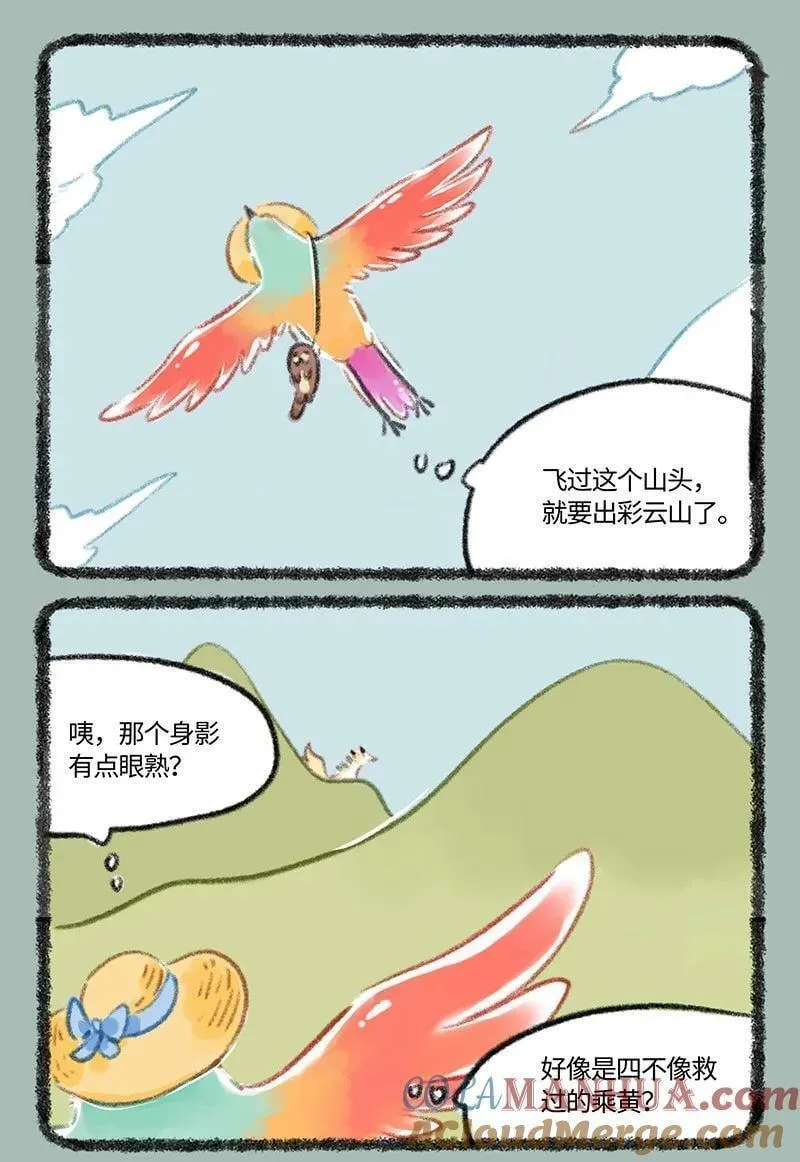 806 治愈花椒1